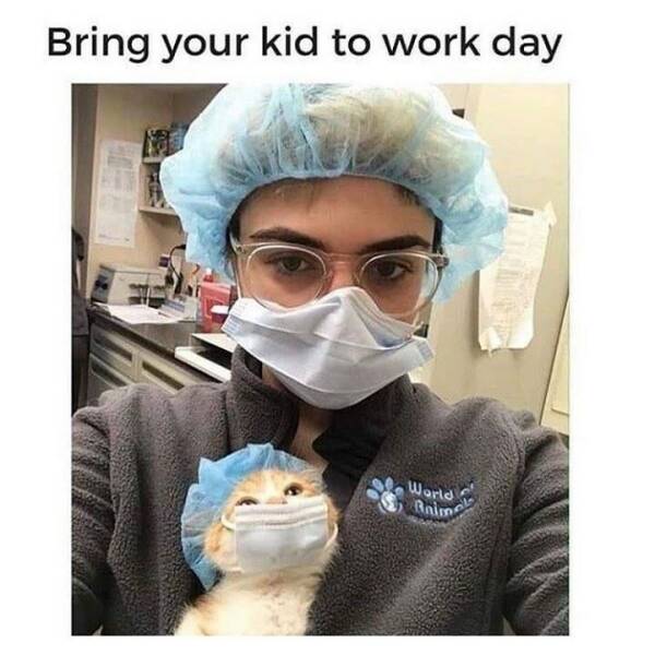 Daily Pictures. Part 2 (61 pics)
