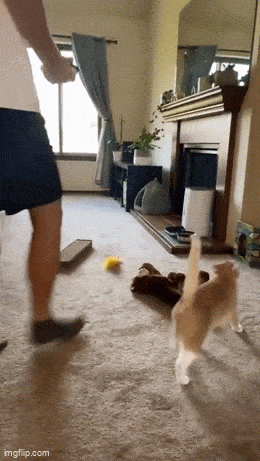 Acid GIFs, April 11 (25 gifs) Acid GIFs, April 11 (25 gifs)