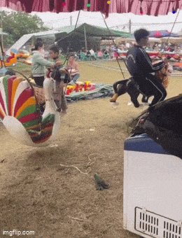 Acid GIFs, April 11 (25 gifs) Acid GIFs, April 11 (25 gifs)