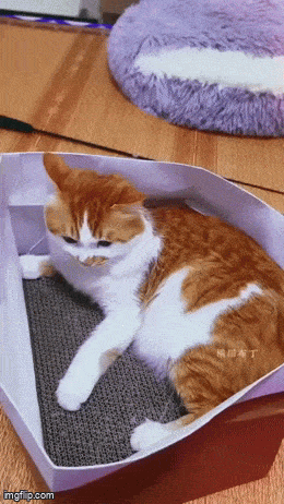 Acid GIFs, April 11 (25 gifs) Acid GIFs, April 11 (25 gifs)