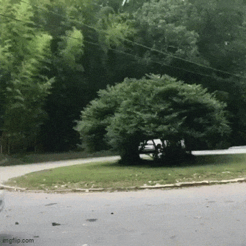 Acid GIFs, April 11 (25 gifs) Acid GIFs, April 11 (25 gifs)