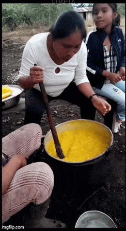 Acid GIFs, April 11 (25 gifs) Acid GIFs, April 11 (25 gifs)