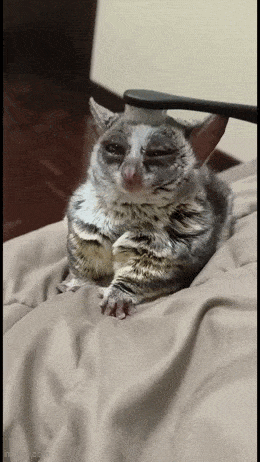 Acid GIFs, April 11 (25 gifs) Acid GIFs, April 11 (25 gifs)