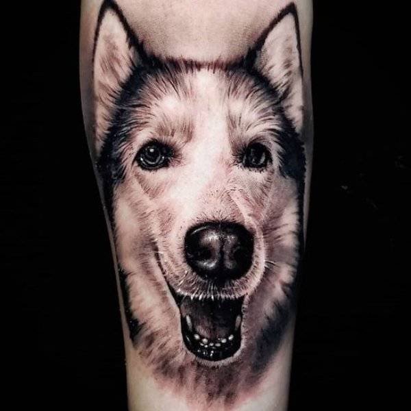 Quality Tattoos (20 pics)