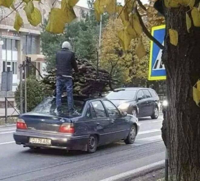 Daily Pictures. Part 1 (59 pics)
