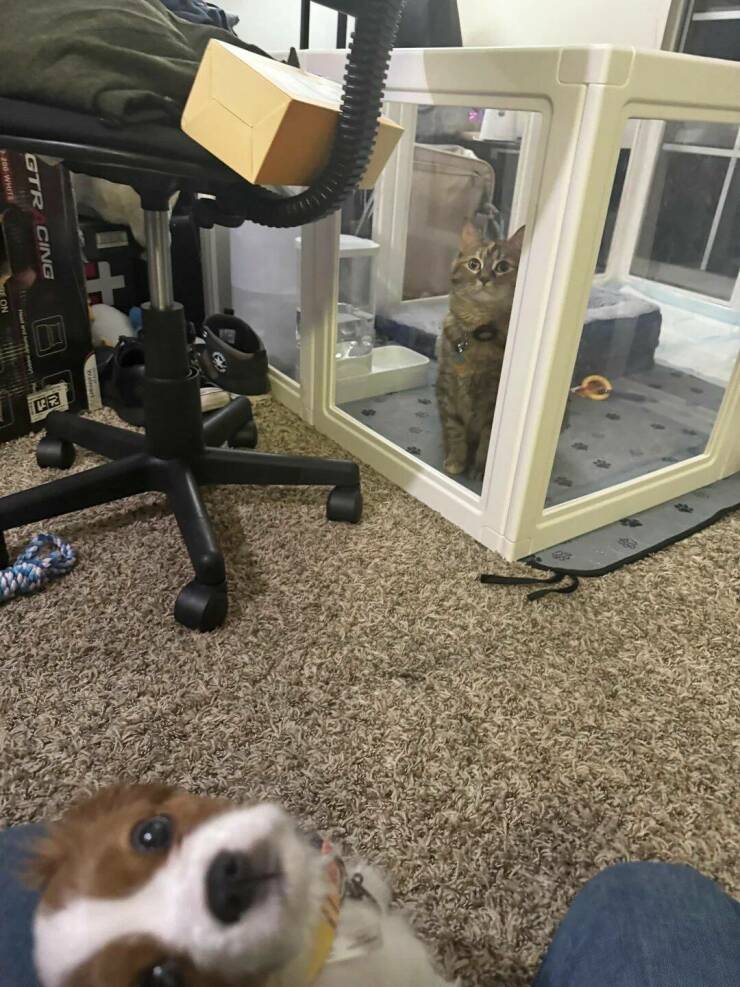 Daily Pictures. Part 1 (59 pics)