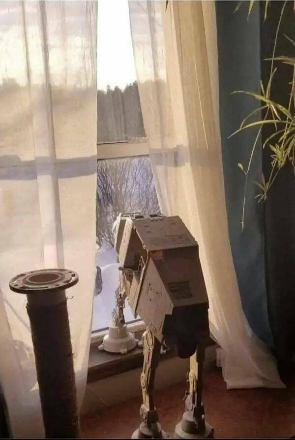 Daily Pictures. Part 1 (63 pics)