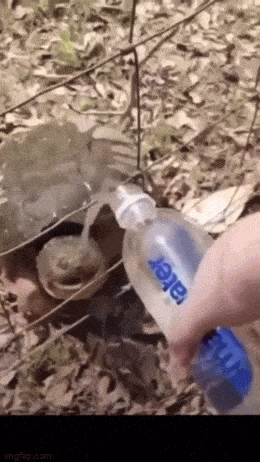 Acid GIFs, April 15 (25 gifs) Acid GIFs, April 15 (25 gifs)