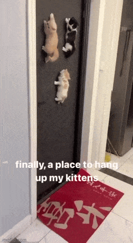 Acid GIFs, April 15 (25 gifs) Acid GIFs, April 15 (25 gifs)
