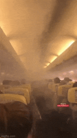 Acid GIFs, April 15 (25 gifs) Acid GIFs, April 15 (25 gifs)