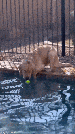 Acid GIFs, April 15 (25 gifs) Acid GIFs, April 15 (25 gifs)