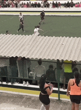 Acid GIFs, April 15 (25 gifs) Acid GIFs, April 15 (25 gifs)