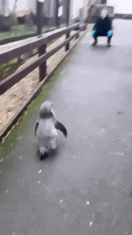 Acid GIFs, April 15 (25 gifs) Acid GIFs, April 15 (25 gifs)