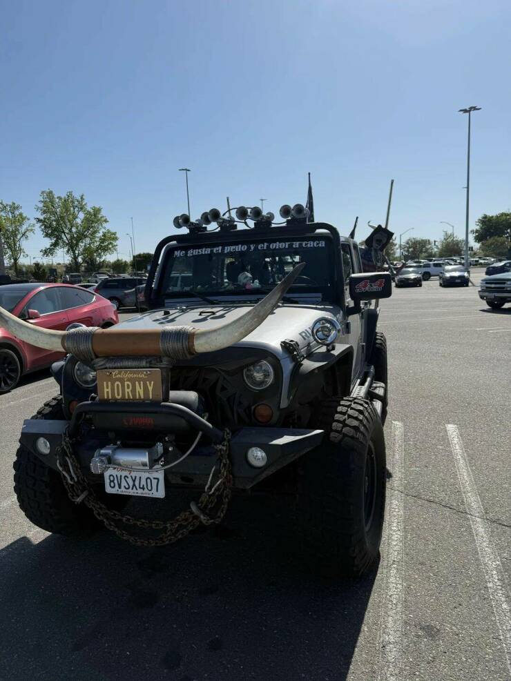 Daily Pictures. Part 1 (69 pics)