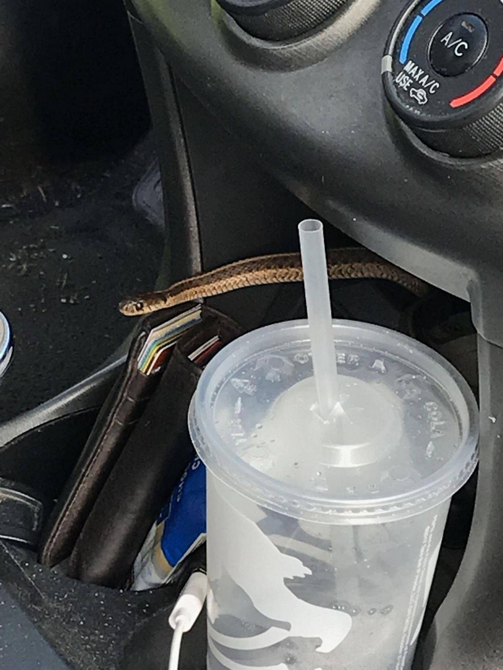 Bad Days Happen (20 pics)