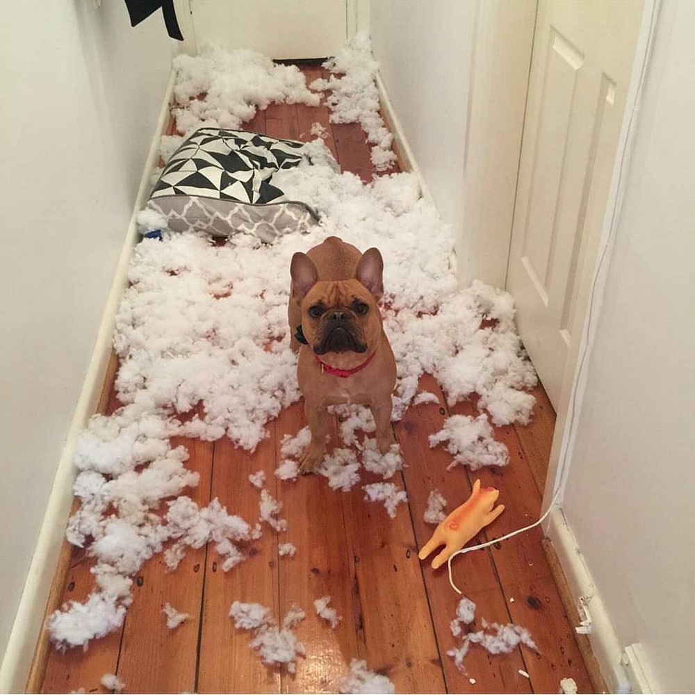 Bad Days Happen (20 pics)