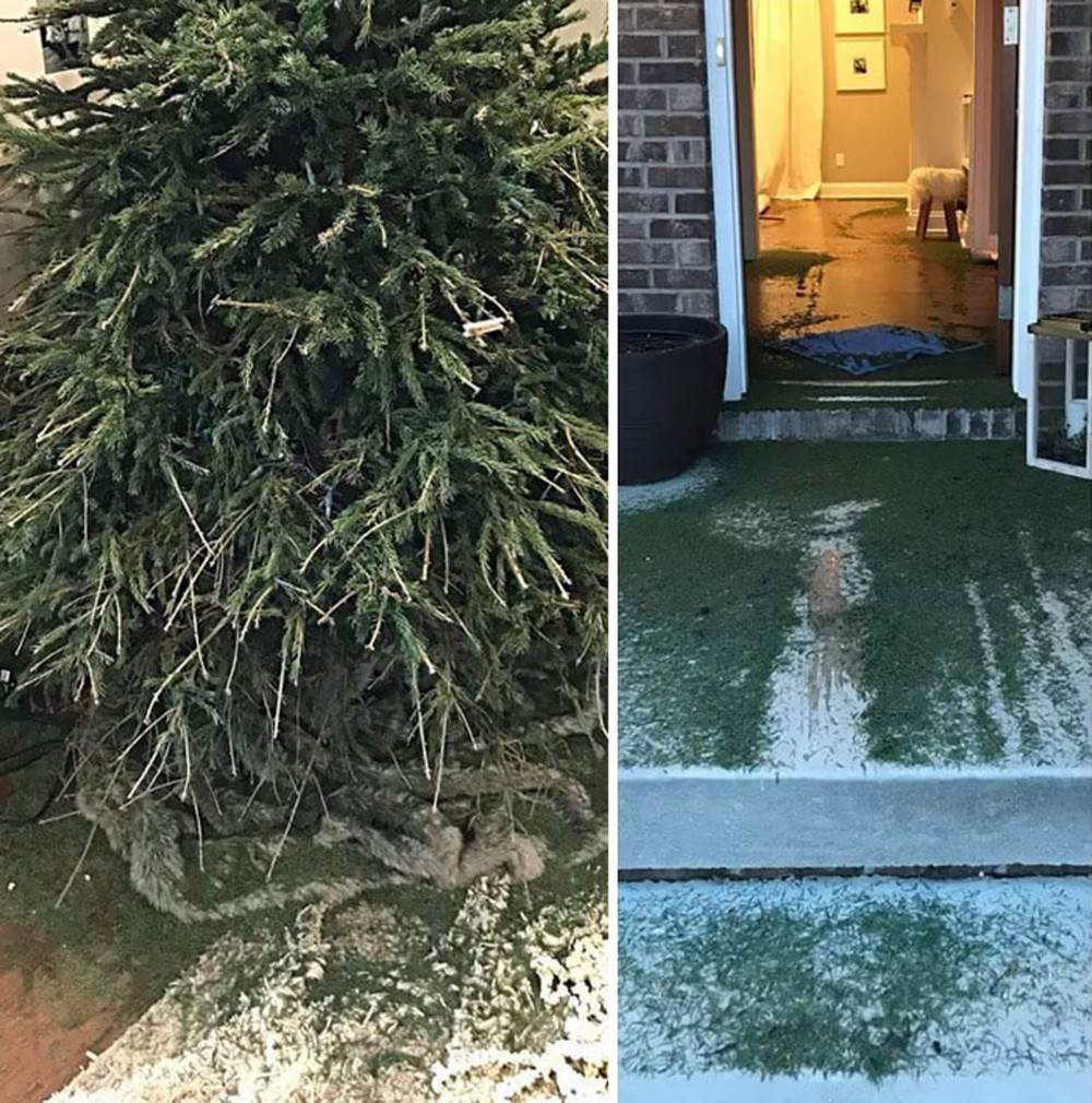 Bad Days Happen (20 pics)