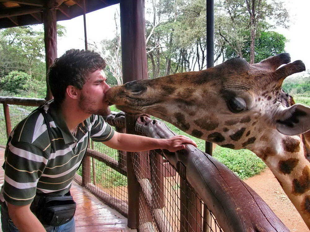 Right Moment (20 pics)