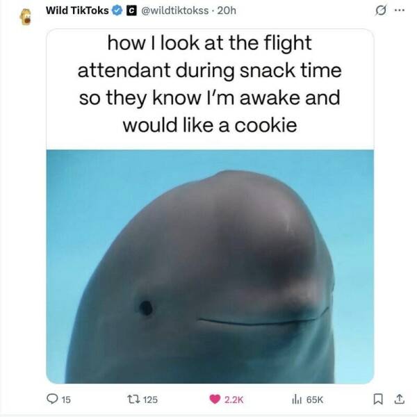 Daily Pictures. Part 2 (57 pics)