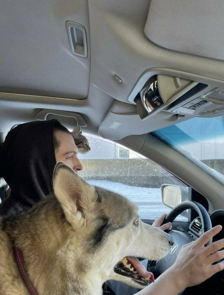 Daily Pictures. Part 2 (57 pics)