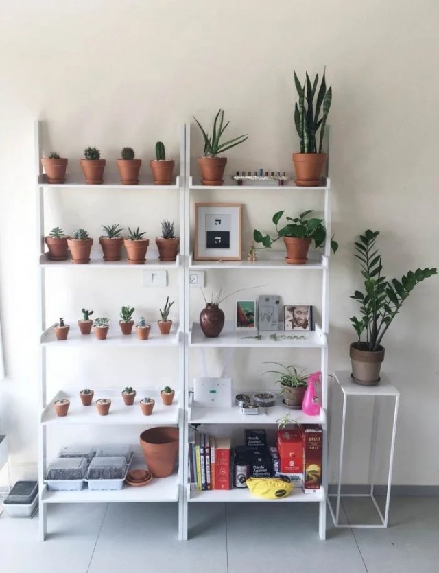 Perfect Space Organization (20 pics)