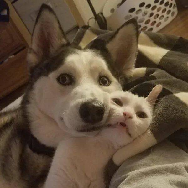 Daily Pictures. Part 1 (61 pics)