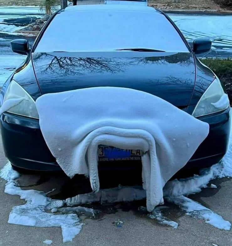 Daily Pictures. Part 2 (60 pics)