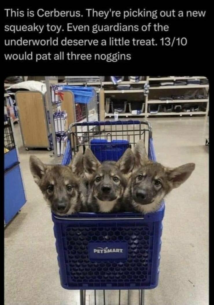 Daily Pictures. Part 2 (60 pics)