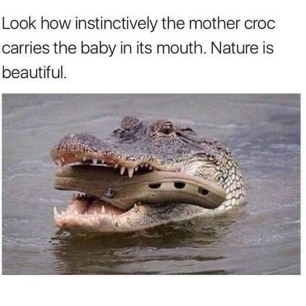 Daily Pictures. Part 2 (60 pics)