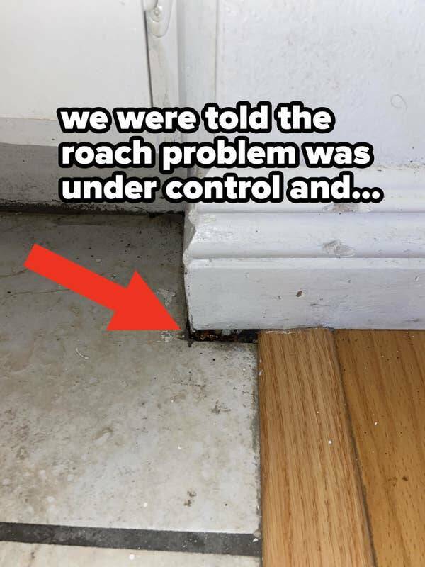 Bad Days Happen (18 pics)