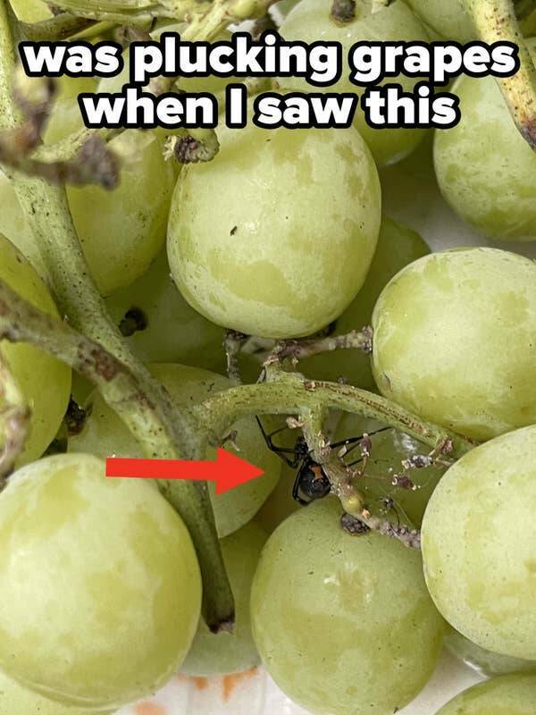 Bad Days Happen (18 pics)