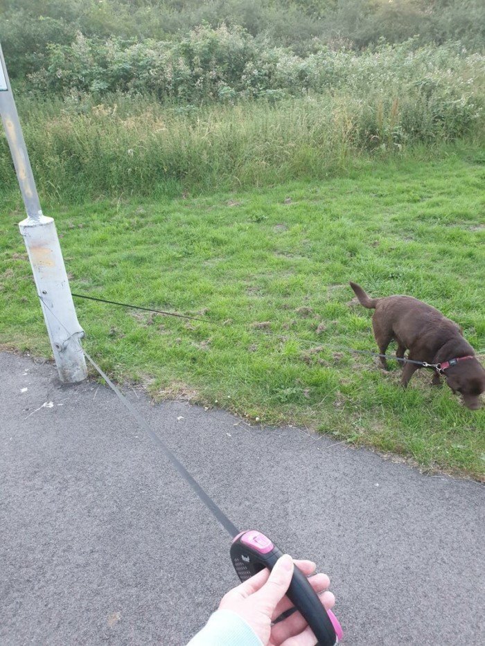 Annoying Situations (18 pics)