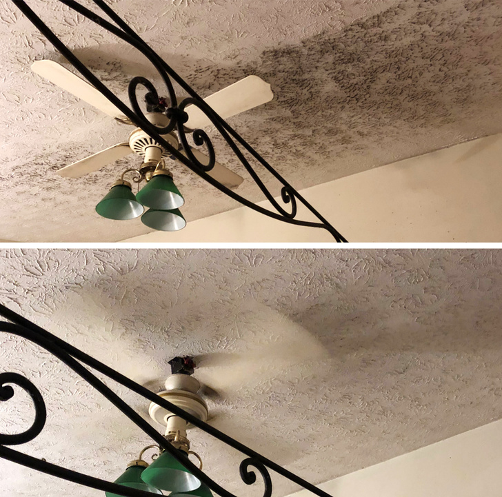 Before And After Cleaning (15 pics)
