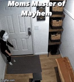 Acid GIFs, April 21 (25 gifs)