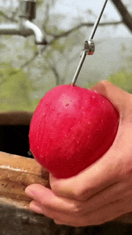 Acid GIFs, April 21 (25 gifs)