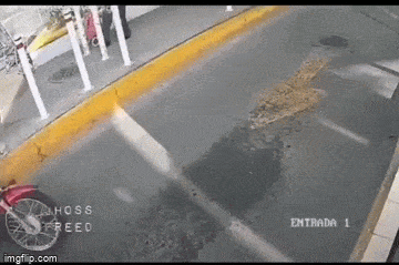 Acid GIFs, April 21 (25 gifs)
