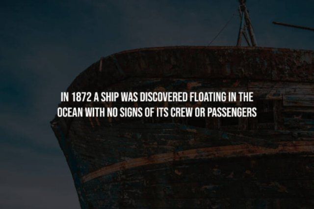 Creepy Facts (14 pics)