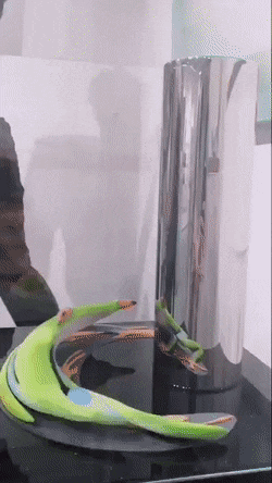 Acid GIFs, April 22 (25 gifs)