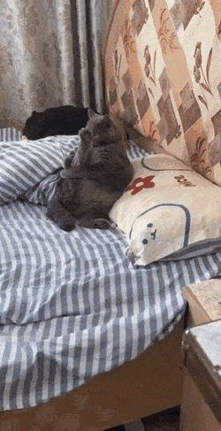 Acid GIFs, April 22 (25 gifs)
