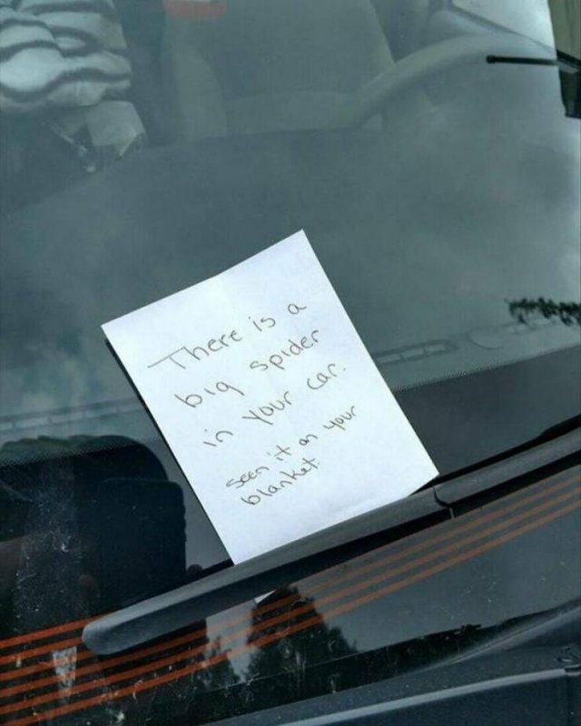 Heartwarming Moments (24 pics)