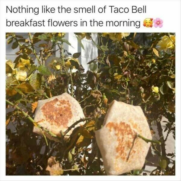 Daily Pictures. Part 2 (60 pics)