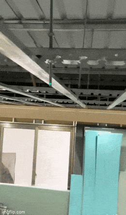 Acid GIFs, April 23 (25 gifs)