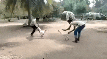 Acid GIFs, April 23 (25 gifs)