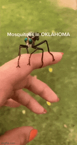 Acid GIFs, April 23 (25 gifs)