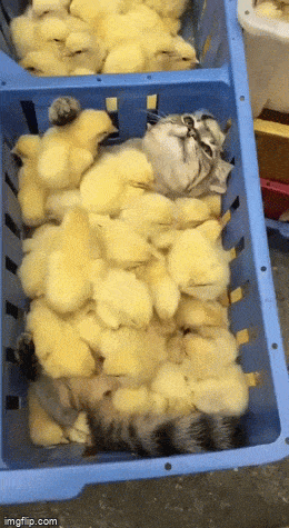 Acid GIFs, April 23 (25 gifs)