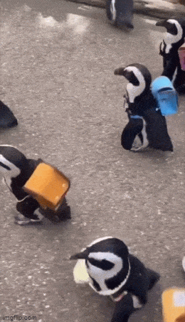 Acid GIFs, April 23 (25 gifs)