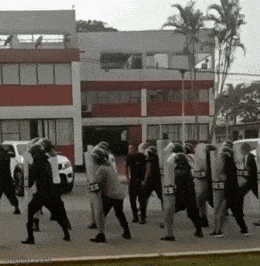 Acid GIFs, April 23 (25 gifs)