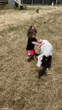 Acid GIFs, April 23 (25 gifs)