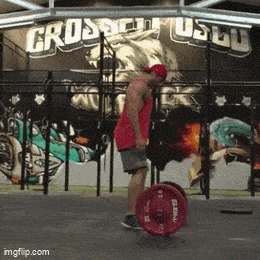 Acid GIFs, April 24 (25 gifs)