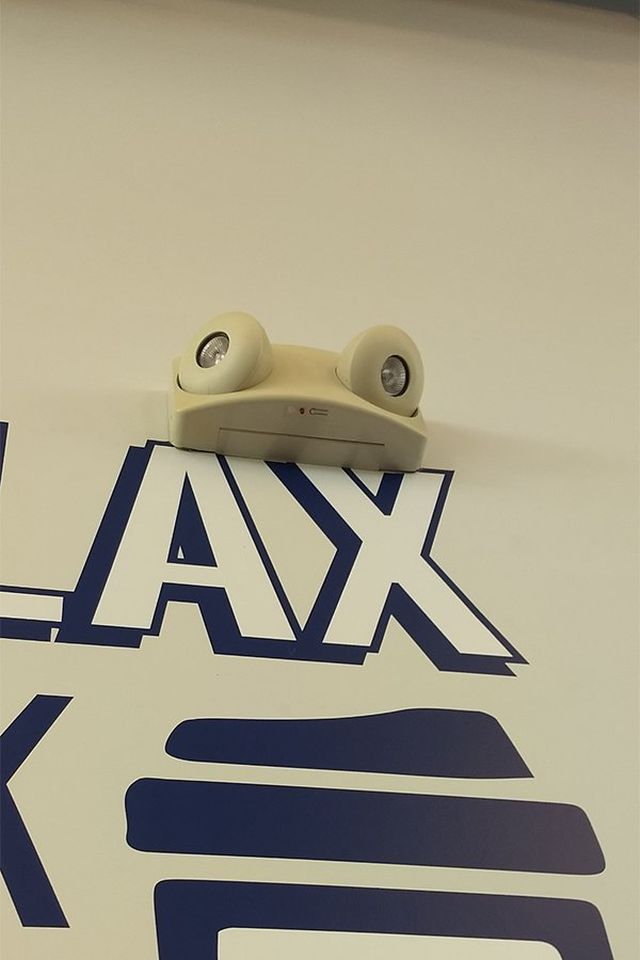 This Is Pareidolia (22 pics)